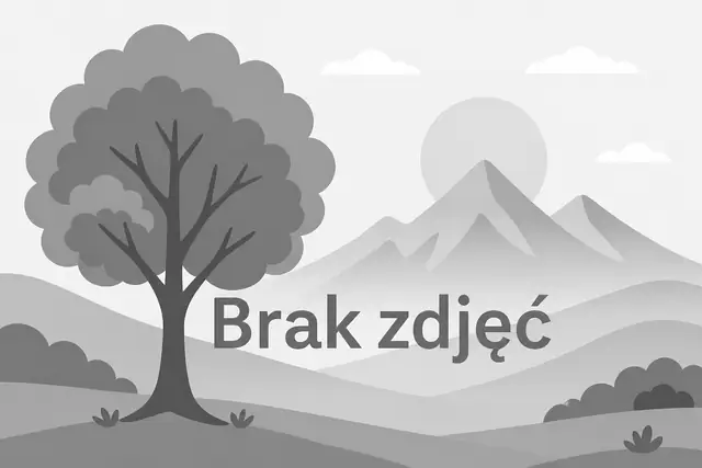 Profesjonalne suszenie tarcicy | Suszarnia komorowa do 10 m³ | K.K. WOOD
