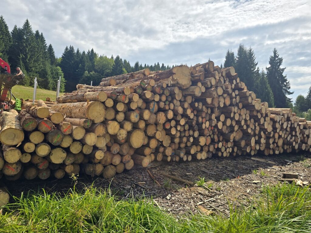 ŚWIERK – drewno paletowe, długość 2,25 m – SPRZEDAM