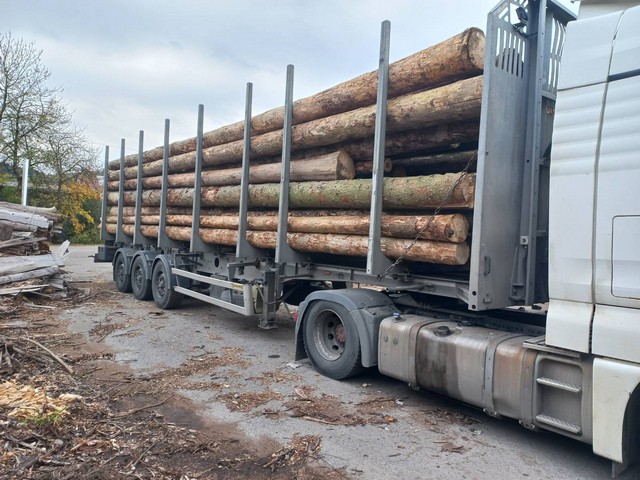 ŚWIERK – dłużyce tartaczne, długość 8/10/12 m – SPRZEDAM