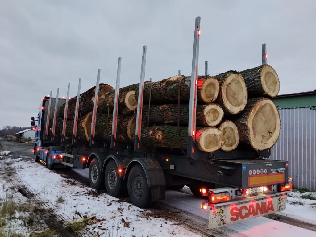 TOPOLA – kłody tartaczne, długość 2,5 m – SPRZEDAM