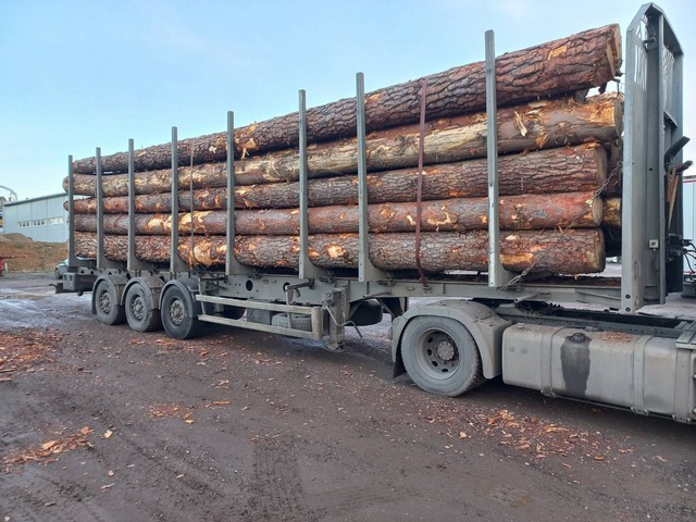 SOSNA – dłużyce tartaczne, długość 8/10/12 m – SPRZEDAM