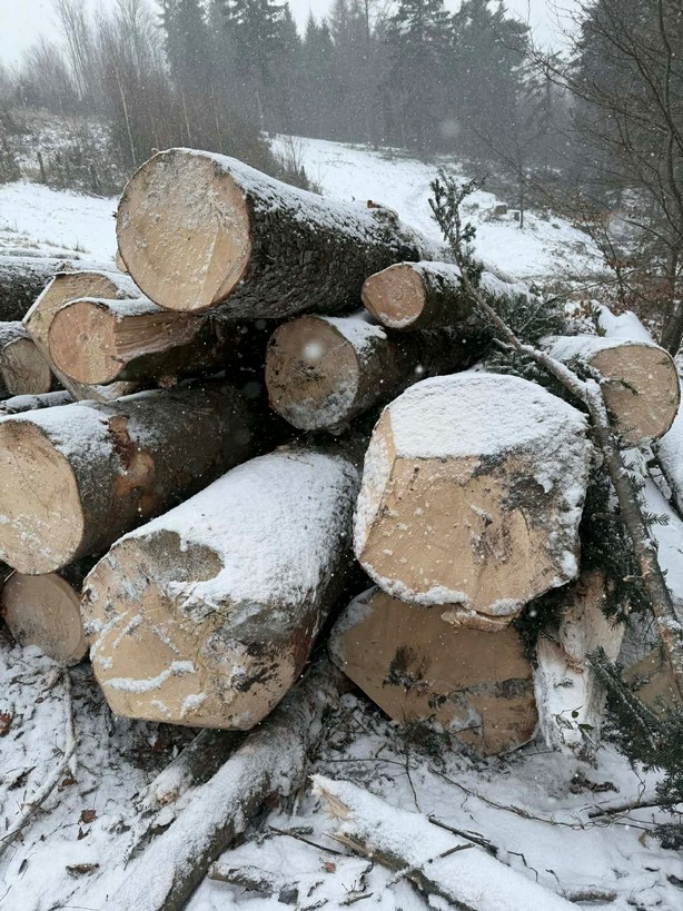 JODŁA – dłużyce tartaczne, długość 8/10/12 m – SPRZEDAM