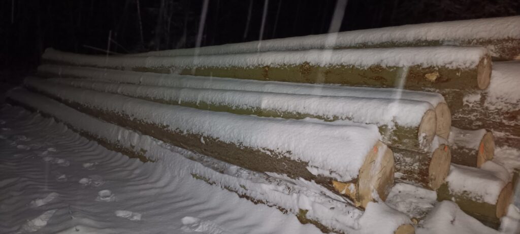 ŚWIERK – dłużyce tartaczne, długość 8/10/12 m – SPRZEDAM