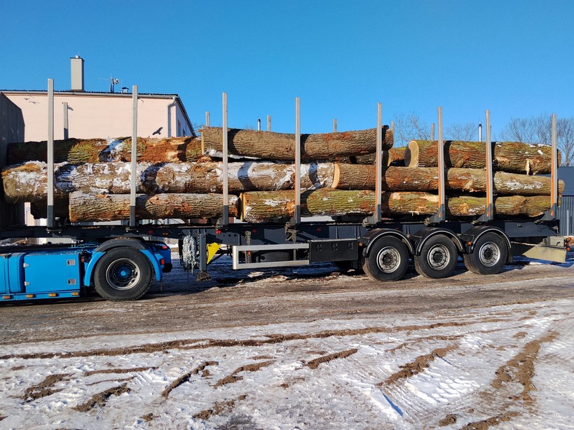 DĄB – drewno tartaczne, długość 3-10 m – SPRZEDAM