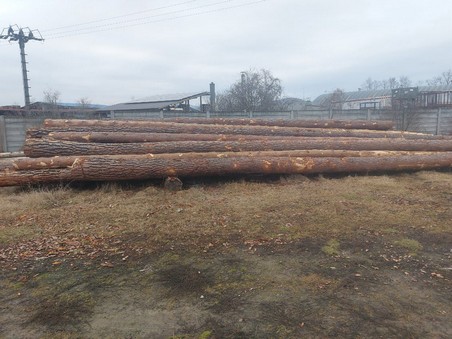 SOSNA – dłużyce tartaczne, długość 12 m – SPRZEDAM