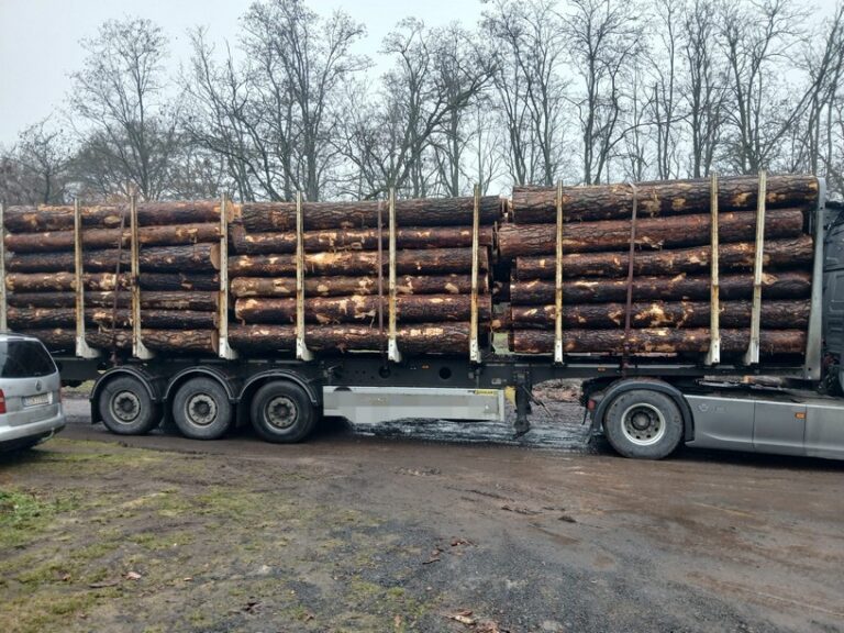 SOSNA – kłody tartaczne, długość 4 m – SPRZEDAM