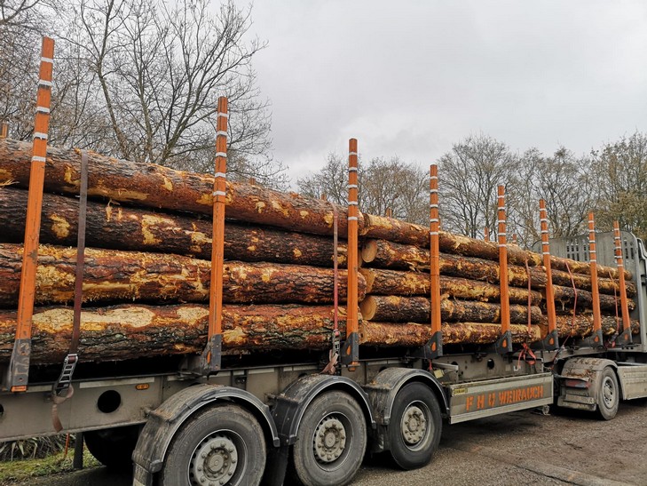 SOSNA – kłody tartaczne, długość 4 m – SPRZEDAM