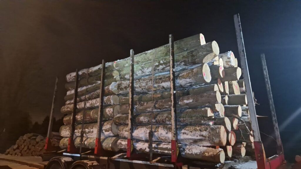 LIPA – kłody tartaczne, długość 2,5 m – SPRZEDAM