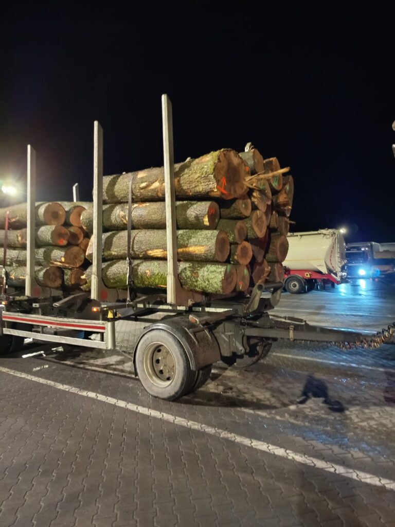 JESION – kłody tartaczne, długość 2,5 m – SPRZEDAM