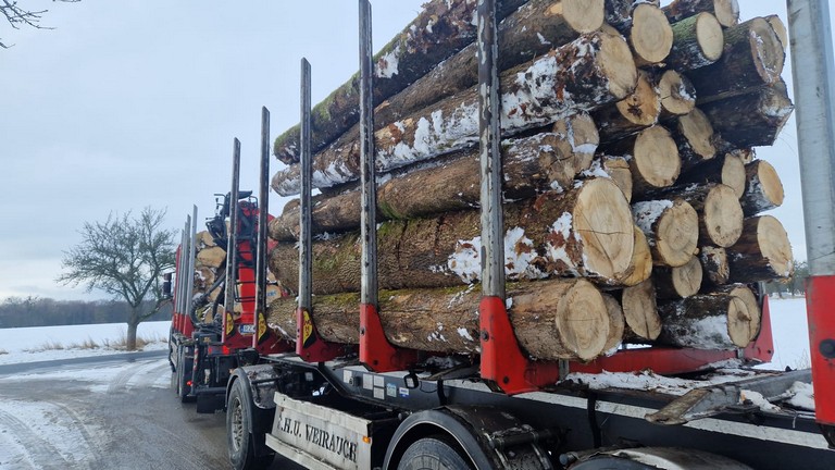 JESION – kłody tartaczne, długość 4 m – SPRZEDAM