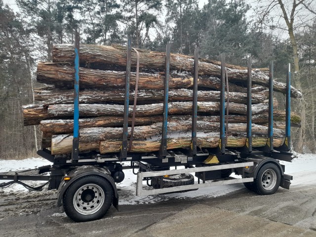 AKACJA – drewno tartaczne, długość 3-8 m – SPRZEDAM