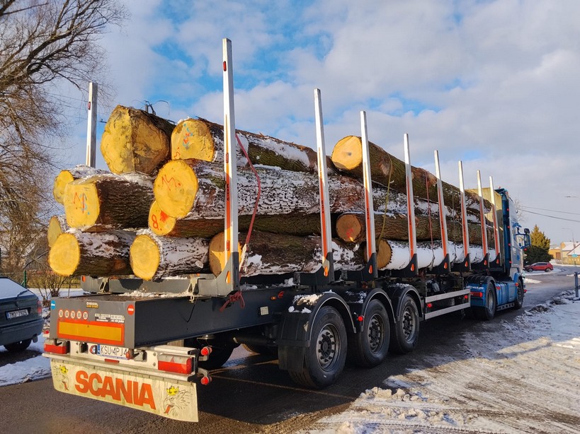 DĄB – drewno tartaczne, długość 5-12 m – SPRZEDAM