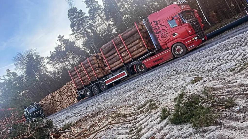 SOSNA – drewno paletowe i kłody | stała współpraca – KUPIĘ