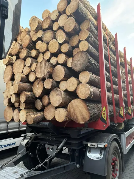 SOSNA – kłody tartaczne 4/5 m – KUPIĘ