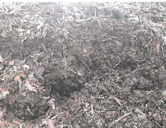 Kora sosnowa – biomasa | duże ilości – SPRZEDAM (syndyk)