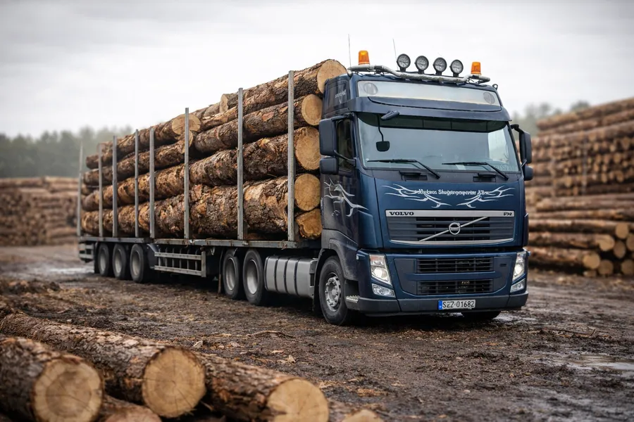 Transport dłużyc do 14 m | HDS, drewno wielkowymiarowe – POLSKA