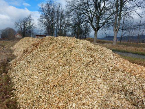 Biomasa liściasta – zrębki drzewne | ok. 3500 mp – SPRZEDAM