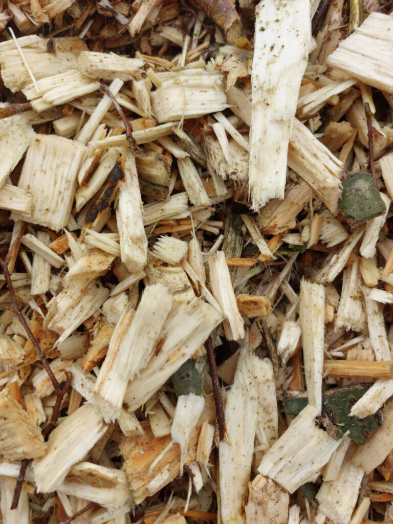 Zrębki liściaste – biomasa | załadunek ruchoma podłoga – SPRZEDAM