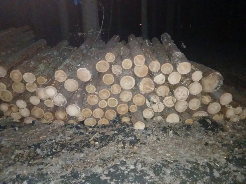 Drewno paletowe – długość 2,50 m – SPRZEDAM