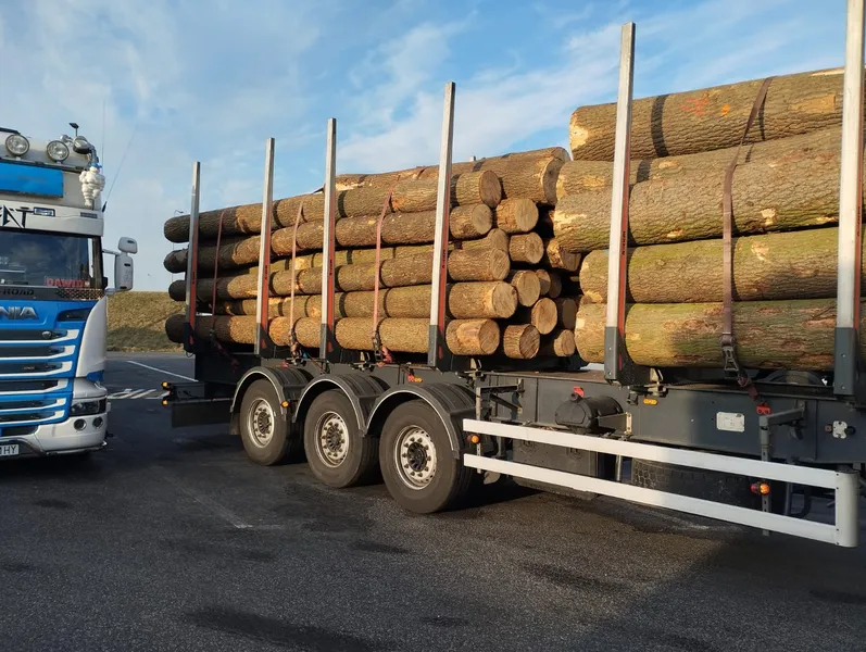 JESION – kłody tartaczne, długość 3/4/5/6 m – SPRZEDAM