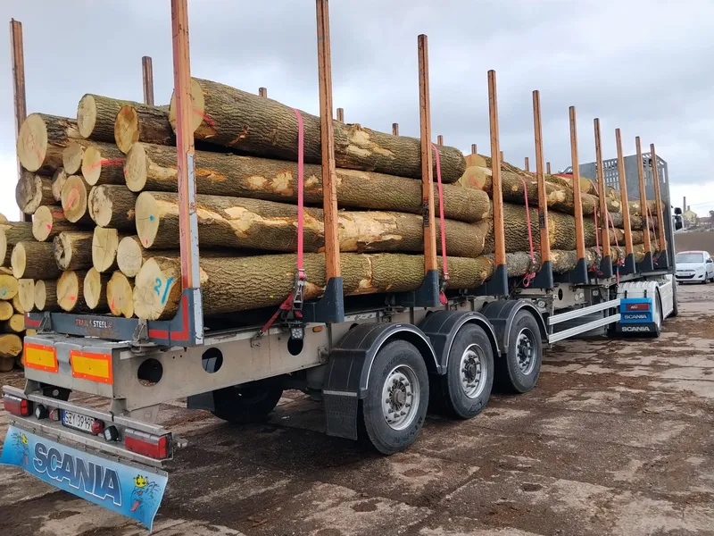 JESION – kłody tartaczne, długość 3/4 m – SPRZEDAM