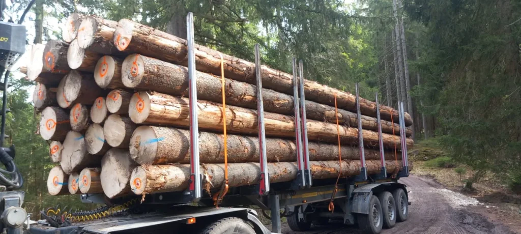 ŚWIERK – drewno tartaczne | Stałe dostawy dla firm