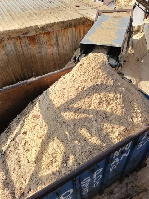 Trociny tartaczne sosnowe | czyste, bez zanieczyszczeń – SPRZEDAM