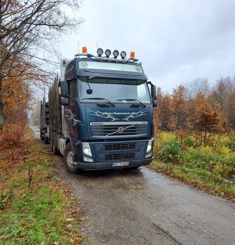 Transport drewna 1,2–14 m | HDS, papierówka/dłużyce – CAŁA POLSKA
