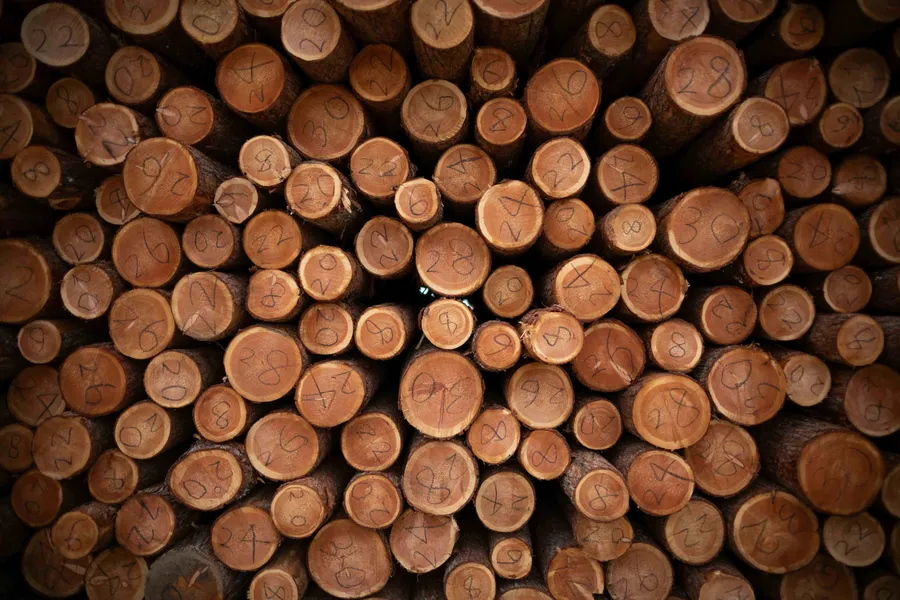 Drewno okrągłe – sprzedaż i transport z tartaku – SPRZEDAM