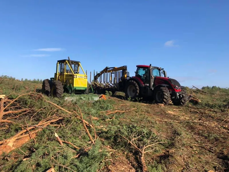 Kompleksowe usługi leśne | harwester, zrywka, wycinka drzew, porządkowanie działek