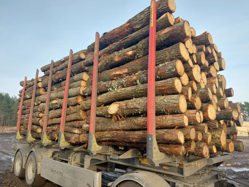 Drewno kominkowe dąb – sprzedaż i transport