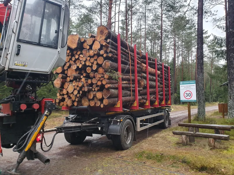 Drewno iglaste w wałkach – sprzedaż i transport