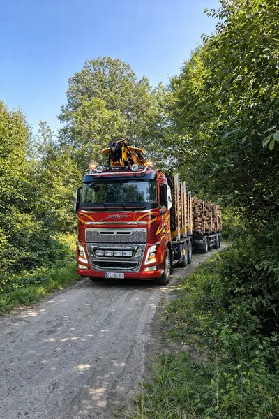 Transport drewna | kłody, dłużyce, tarcica, więźba – współpraca