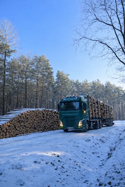 Transport drewna | papierówka, kłody, dłużyce – CAŁA POLSKA