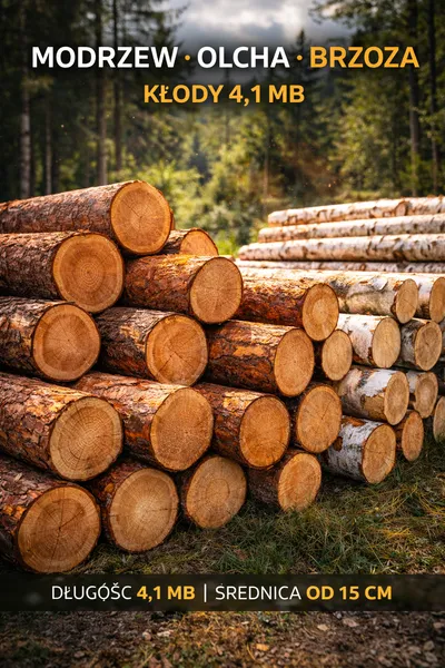 Modrzew, olcha, brzoza – kłody 4,1 mb | od 15 cm | SPRZEDAŻ