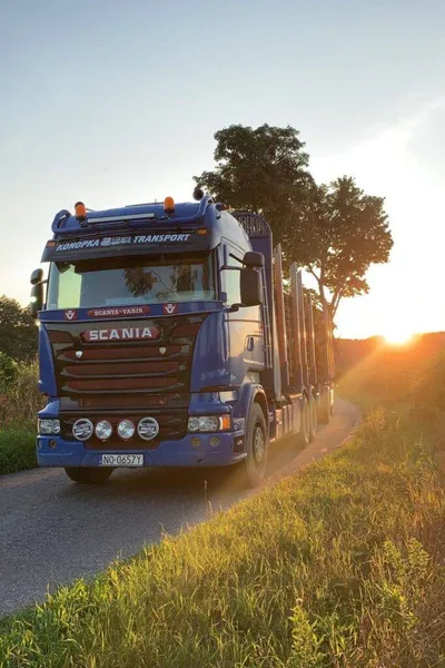 Transport drewna od 2 m | papierówka, kłody, dłużyce – Polska + załadunki