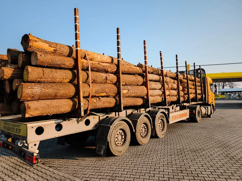 Transport drewna – każda długość | HDS + naczepy – PL / CZ / SK / HU