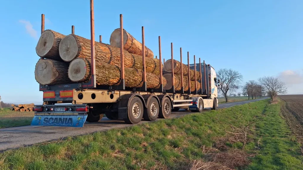 Transport dłużyc i kłód | import-eksport – CZ / SK / HU – HDS / naczepy