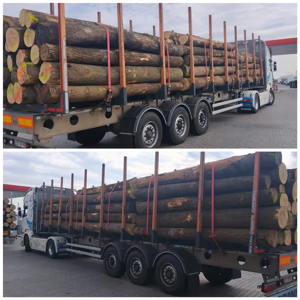 JESION – kłody tartaczne, długość 4/5/6 m – SPRZEDAM