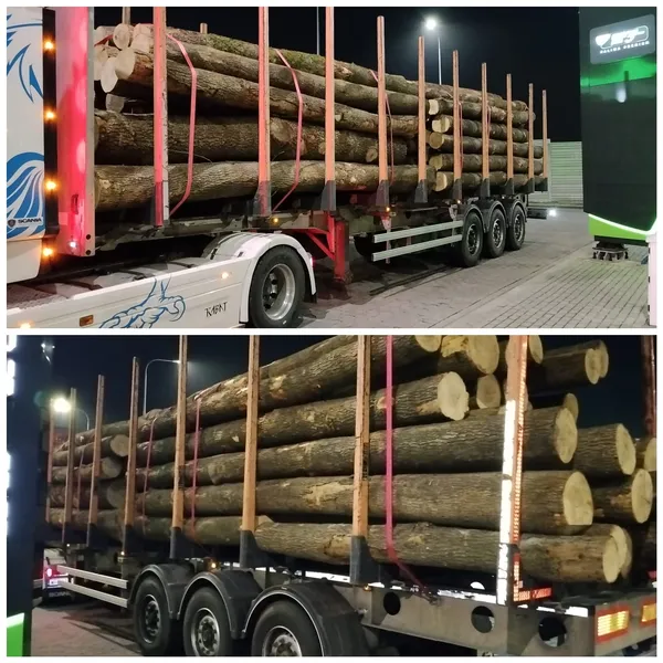 JESION – kłody tartaczne, długość 3/4/5/6 m – SPRZEDAM