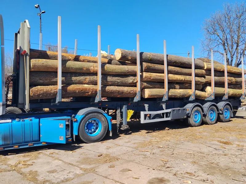 JESION – kłody tartaczne, długość 4 m – SPRZEDAM