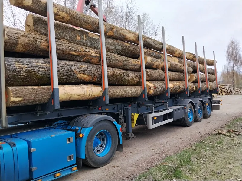 JESION – drewno tartaczne, długość 4-12 m – SPRZEDAM