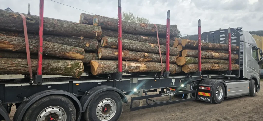 DĄB – kłody tartaczne, długość 3/4/5 m – SPRZEDAM