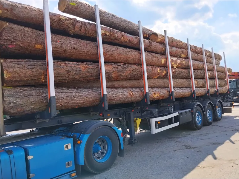 MODRZEW – dłużyce tartaczne, długość 8/10/12 m – SPRZEDAM