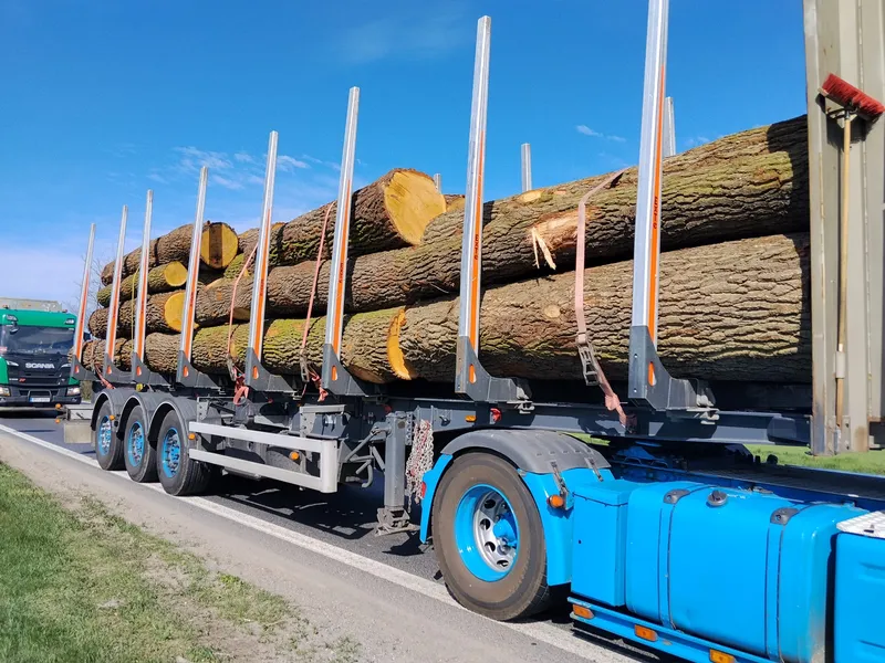 DĄB – kody tartaczne, długość 3/4/5 m – SPRZEDAM