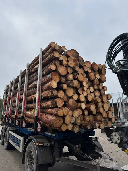 Transport drewna – paletowego i kłód sosnowych | cały kraj