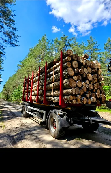 Drewno kominkowe buk – sprzedaż i transport