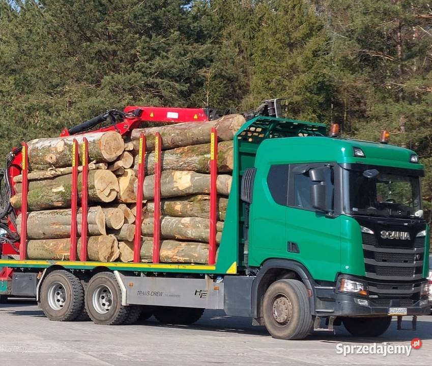 Drewno kominkowe – buk, dąb, brzoza + iglaste | sprzedaż i transport