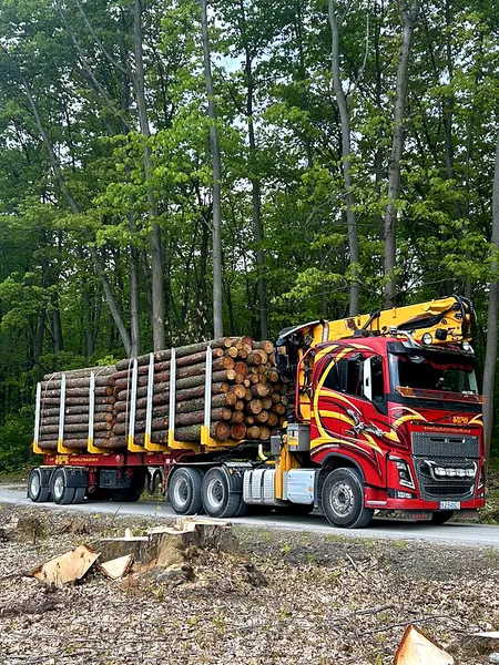 Transport kłód i dłużyc | drewno tartaczne – współpraca