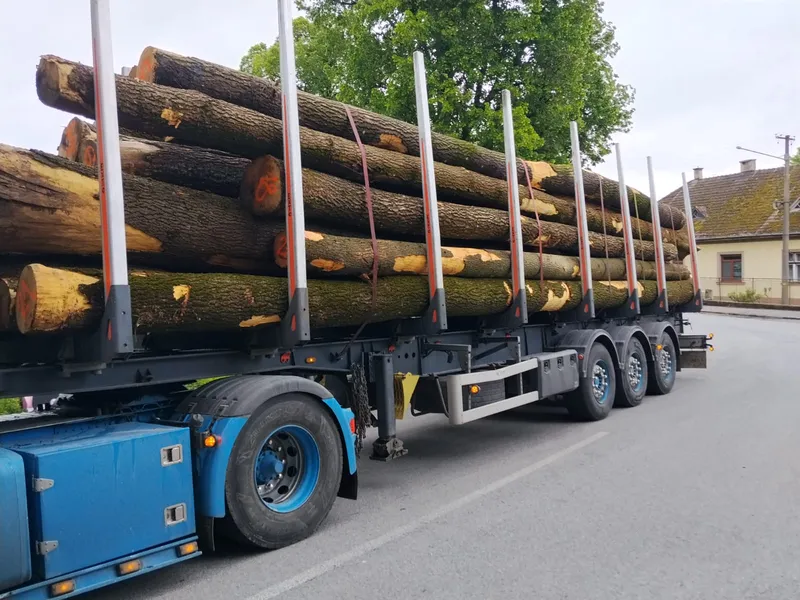 JESION – drewno tartaczne, długość 4,5-14,5 m – SPRZEDAM